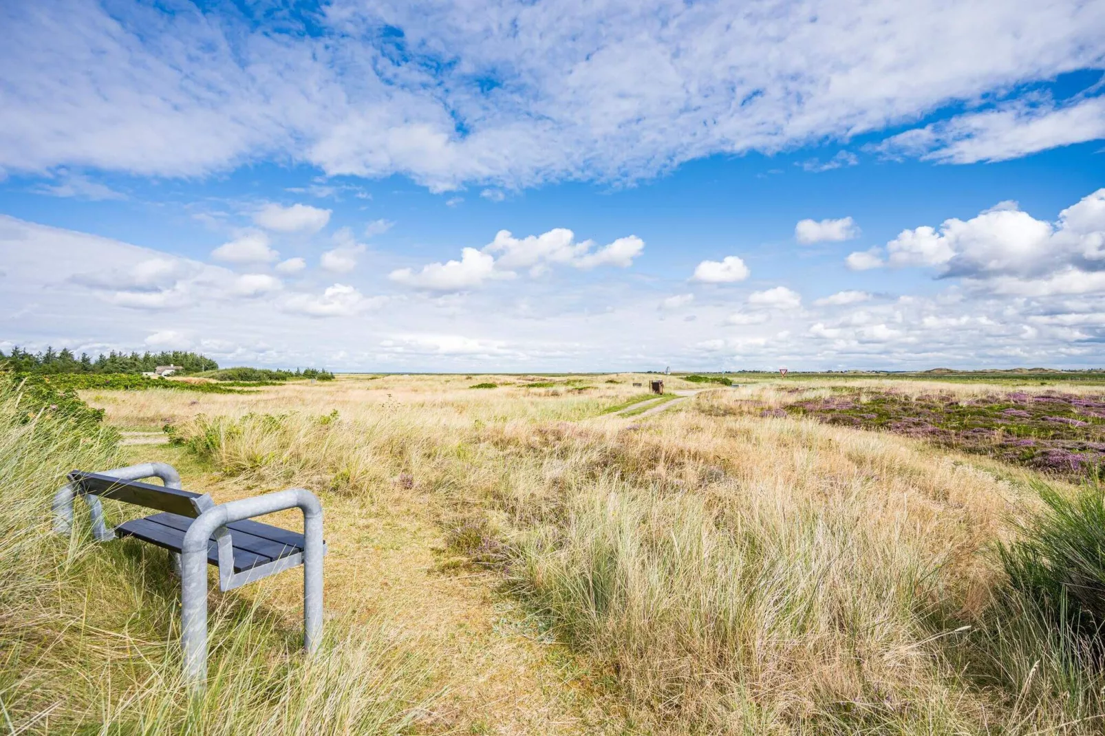 4 persoons vakantie huis in Hvide Sande-Uitzicht