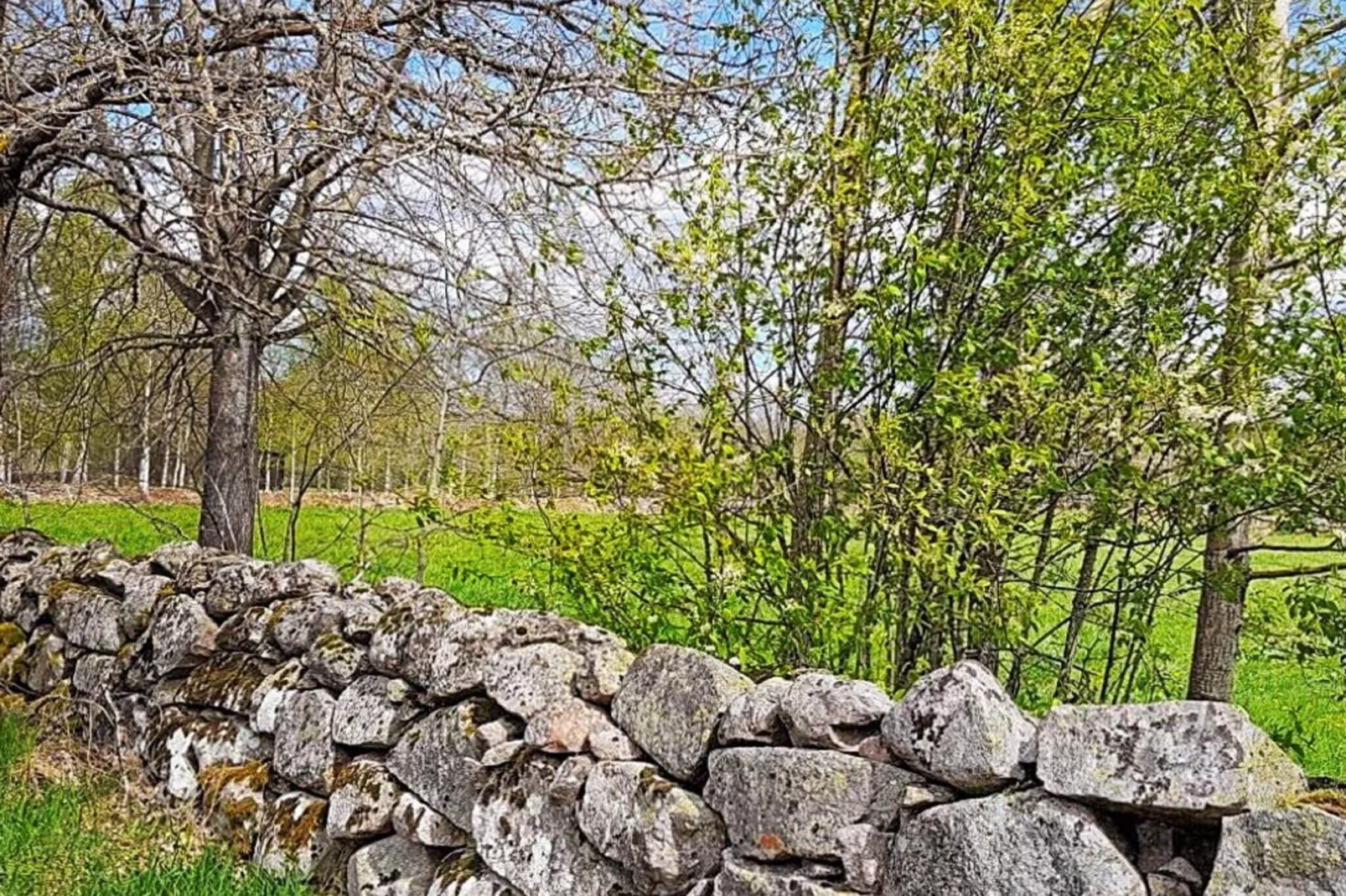 Rustiek toevluchtsoord in Smaland-By Traum-Buitenlucht