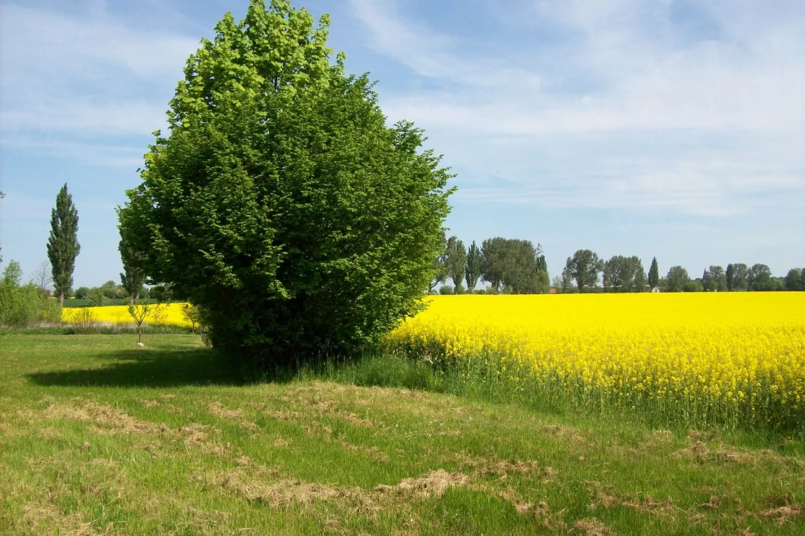 Landlust pur 1-Gebieden zomer 5km