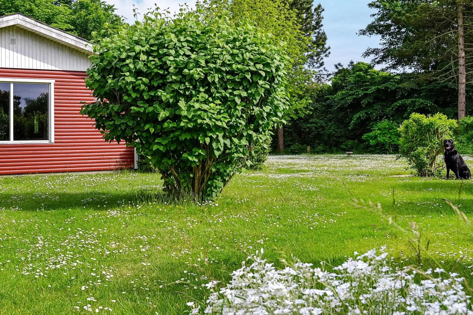 Moderne toevluchtsoord in Klitgards-By Traum-Buitenlucht