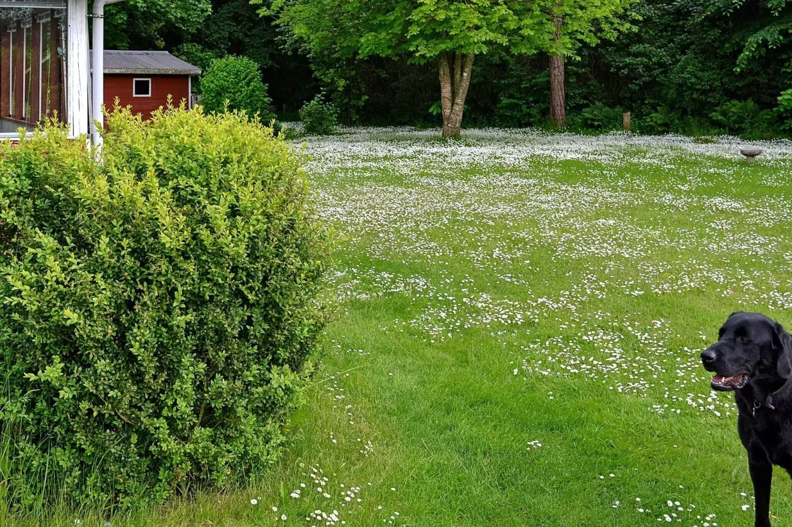 Moderne toevluchtsoord in Klitgards-By Traum-Buitenlucht