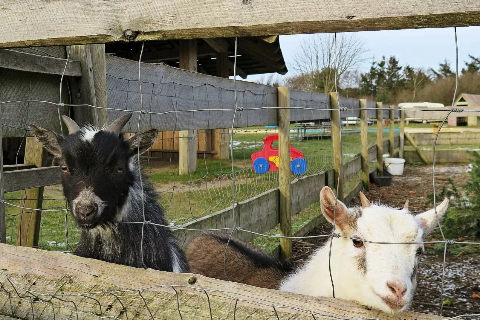4 persoons vakantie huis in Struer-Uitzicht