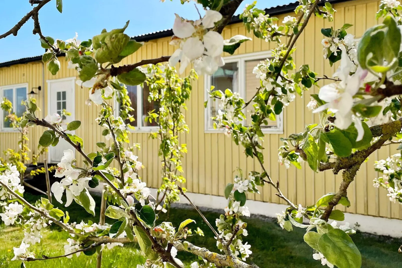 5 persoons vakantie huis in Romakloster-By Traum