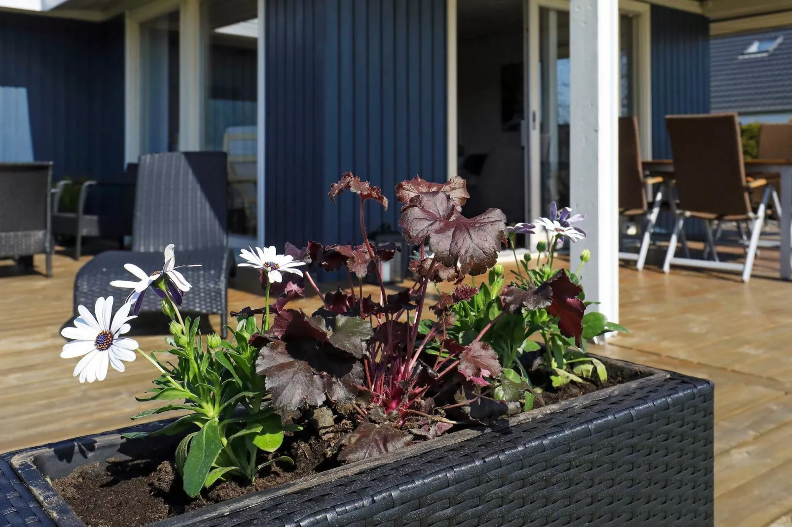 6 persoons vakantie huis in Otterup-Uitzicht