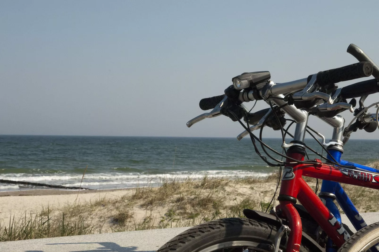 Ferienwohnung mit Koppelblick-Gebieden zomer 20km