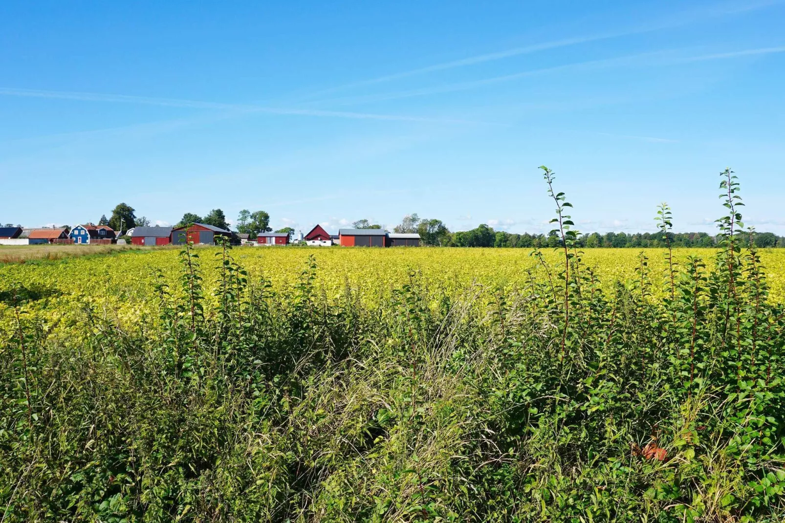 5 persoons vakantie huis in FäRJESTADEN-Niet-getagd