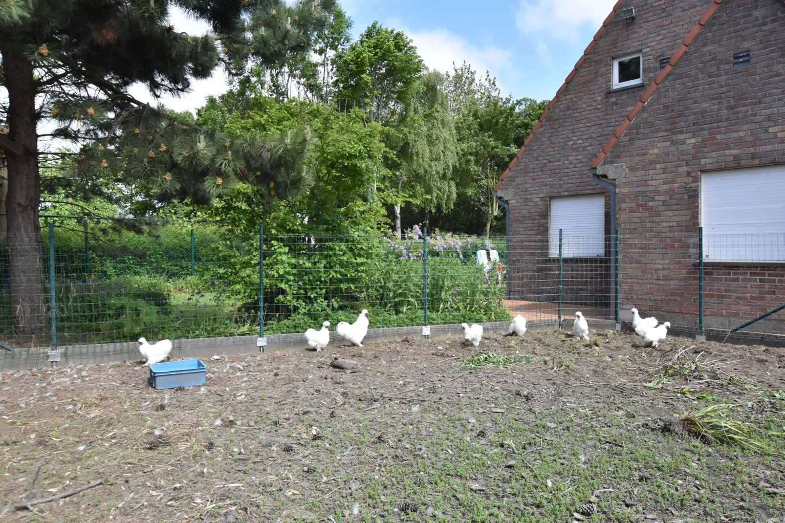 Valkenhorst-Tuinen zomer