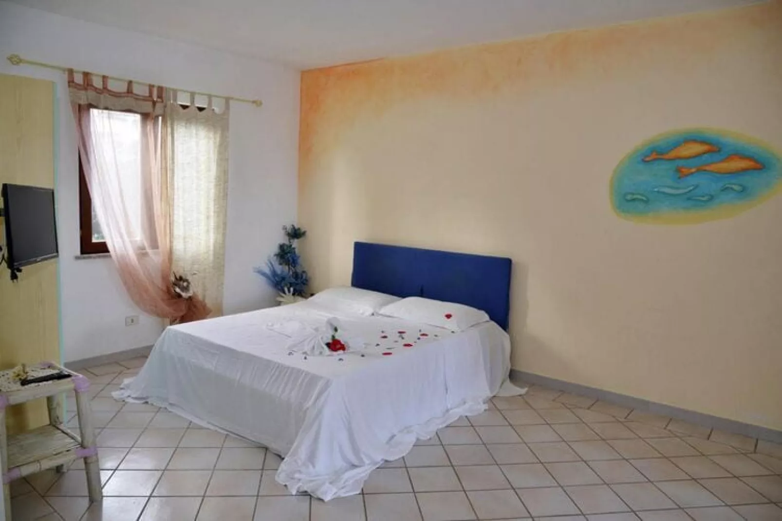 Studio Cannigione - Type Mono La Costa Mare