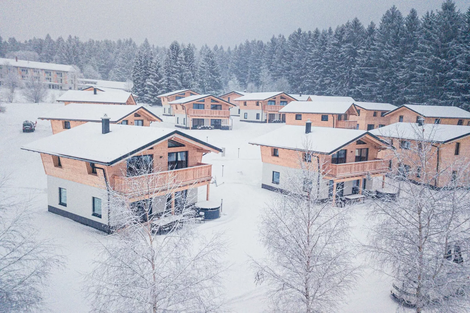 Chalet Modern-Exterieur winter