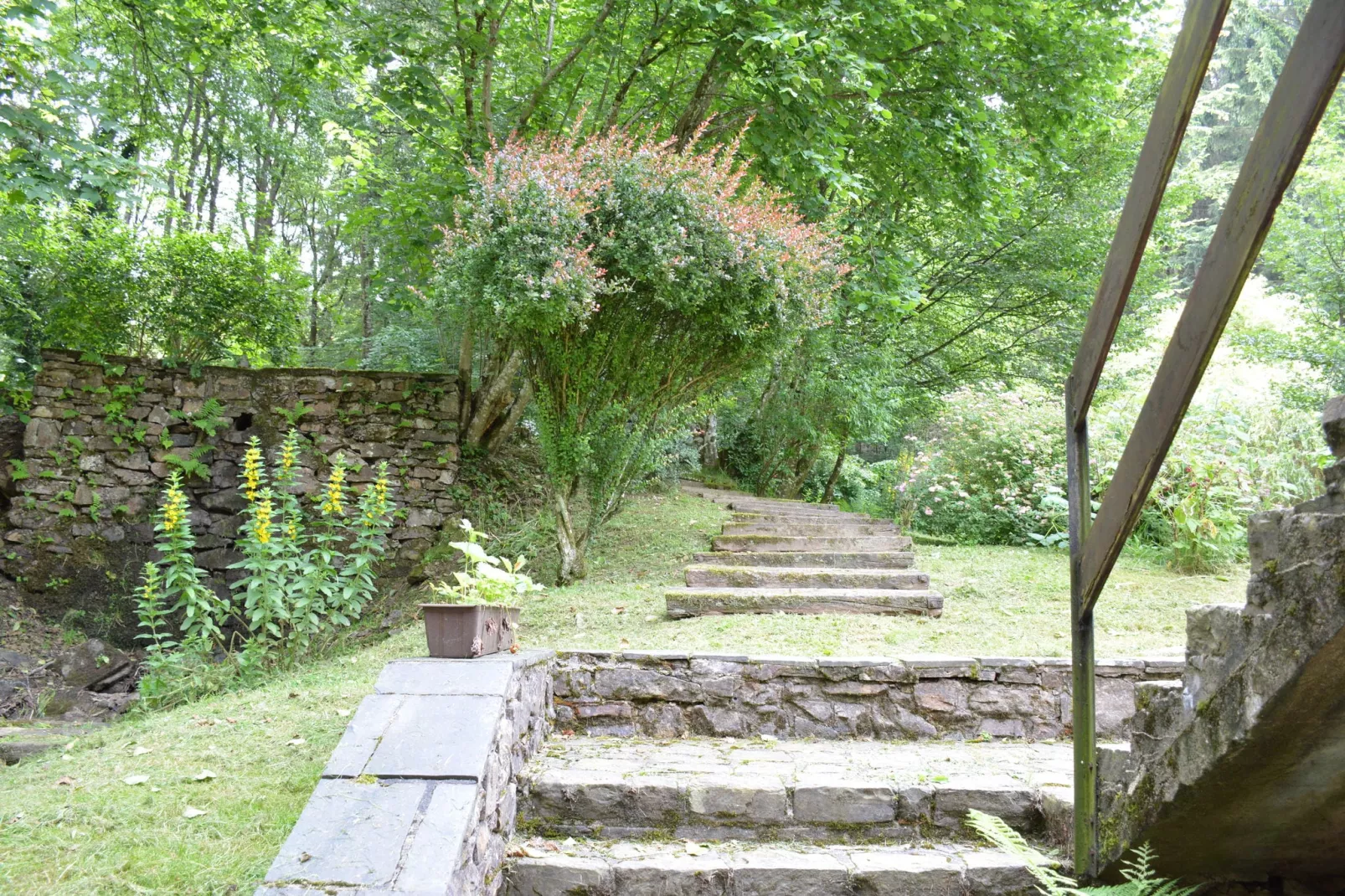 Le Moulin Sylvestre-Tuinen zomer