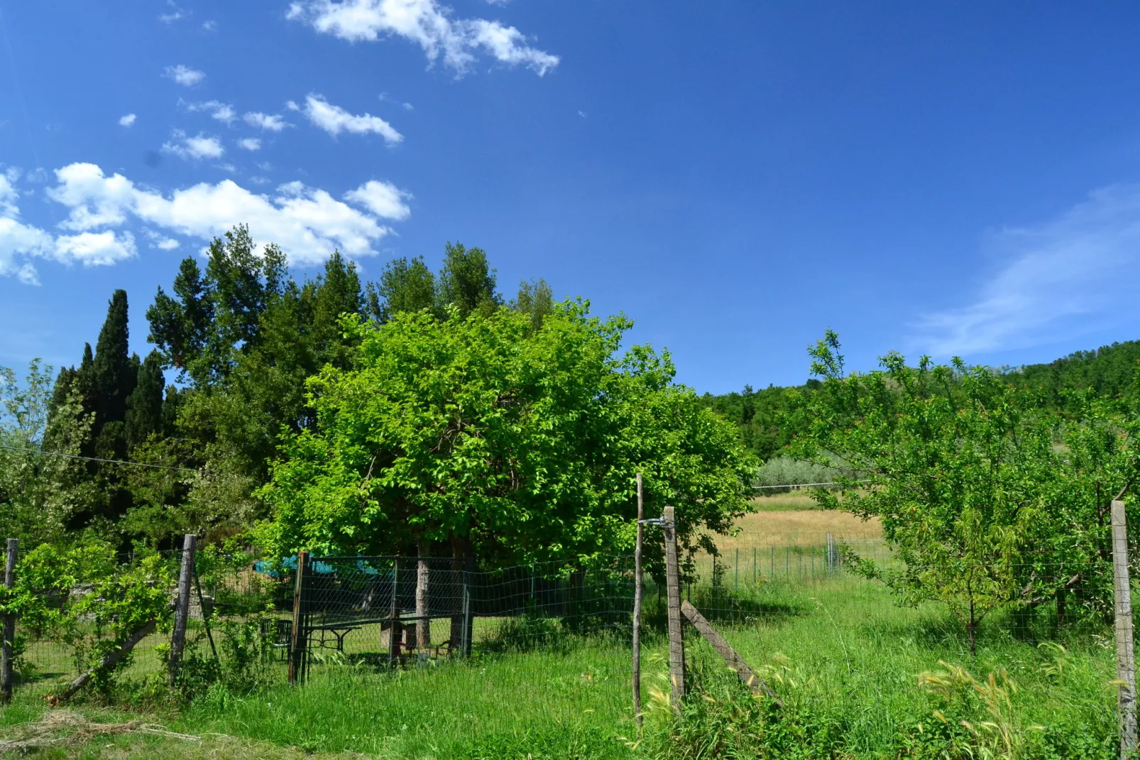 Villa il Brio x 6-Gebieden zomer 20km