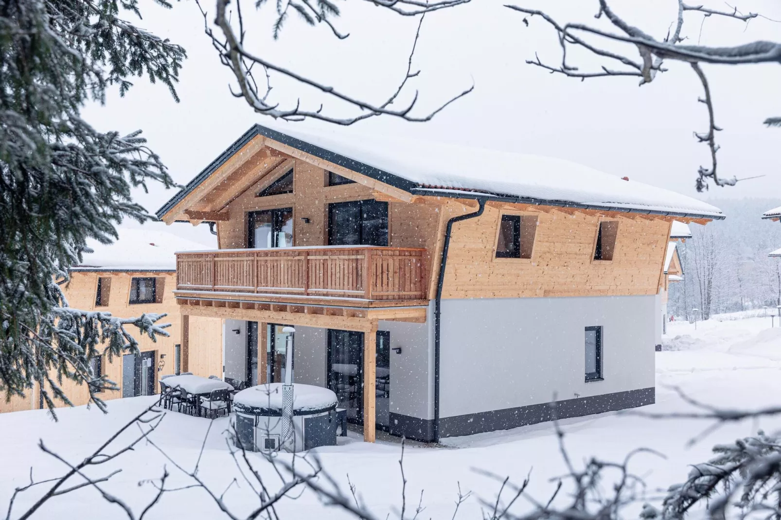 Chalet Klassik-Exterieur winter