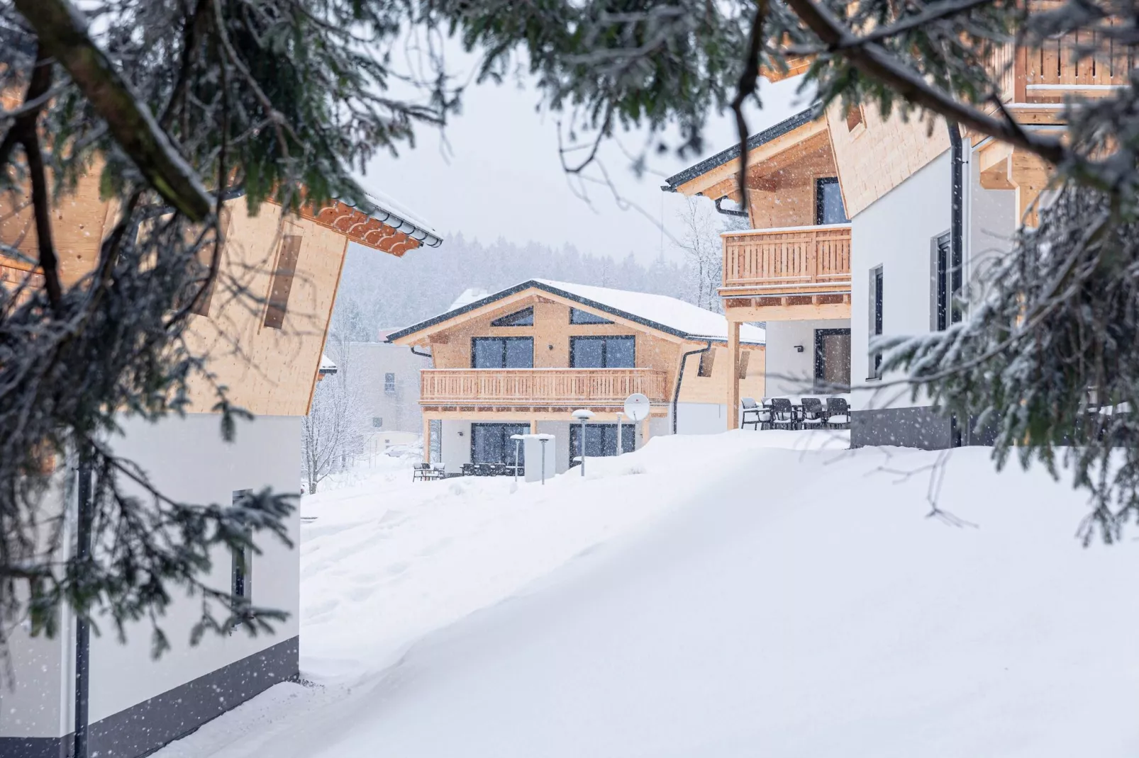 Chalet Klassik-Exterieur winter
