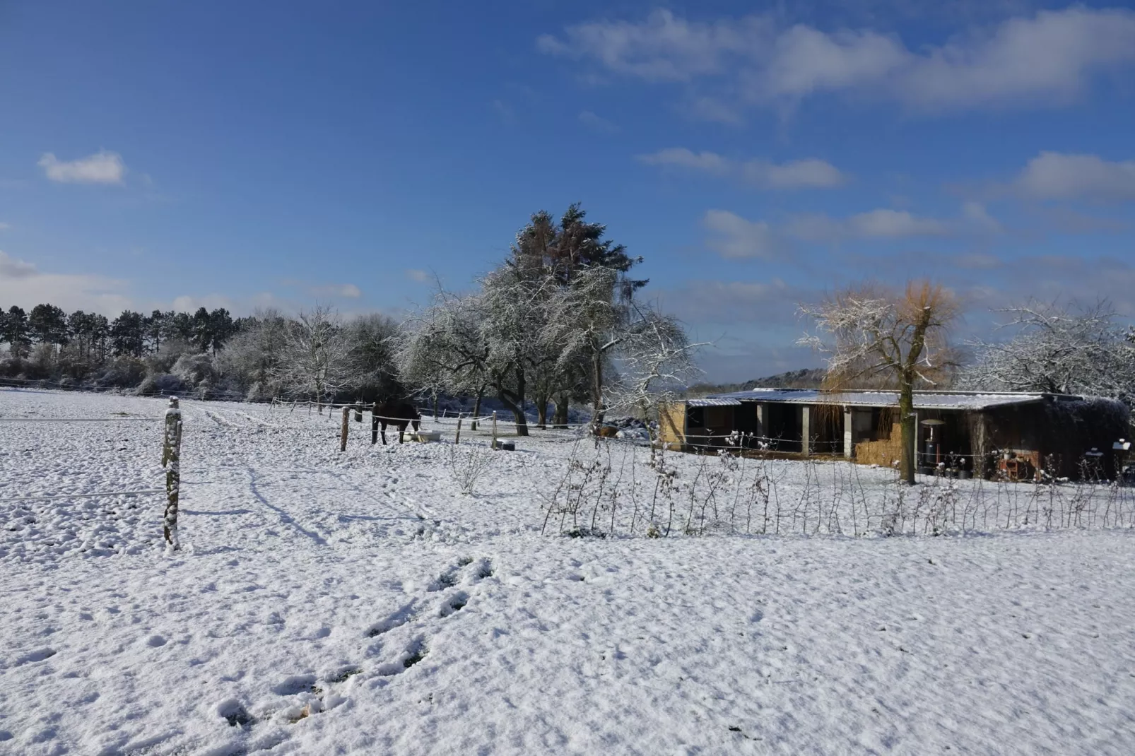 Sous le Charme d'Epona-Exterieur winter