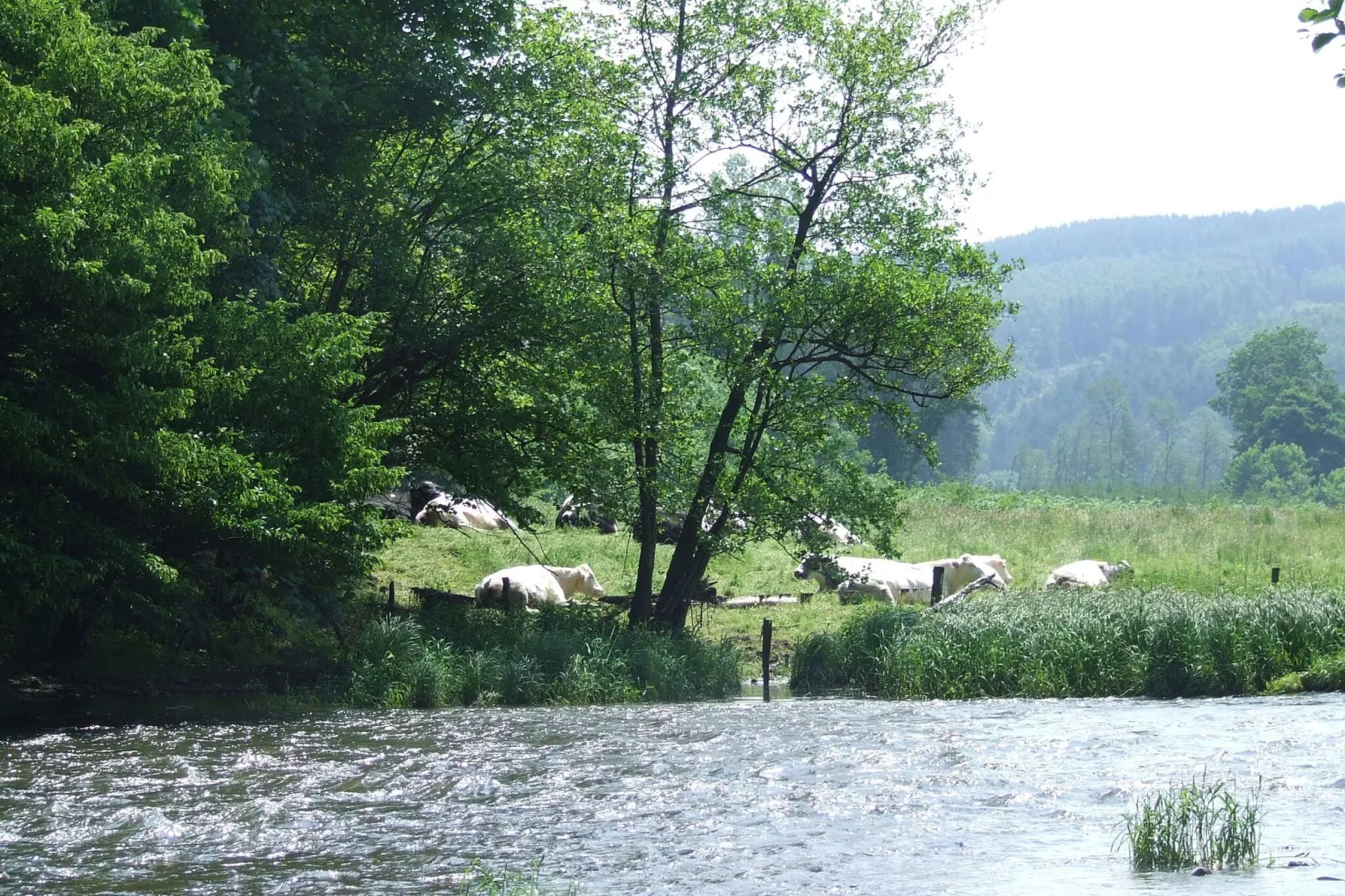 Balcon Petite Suisse-Gebieden zomer 1km