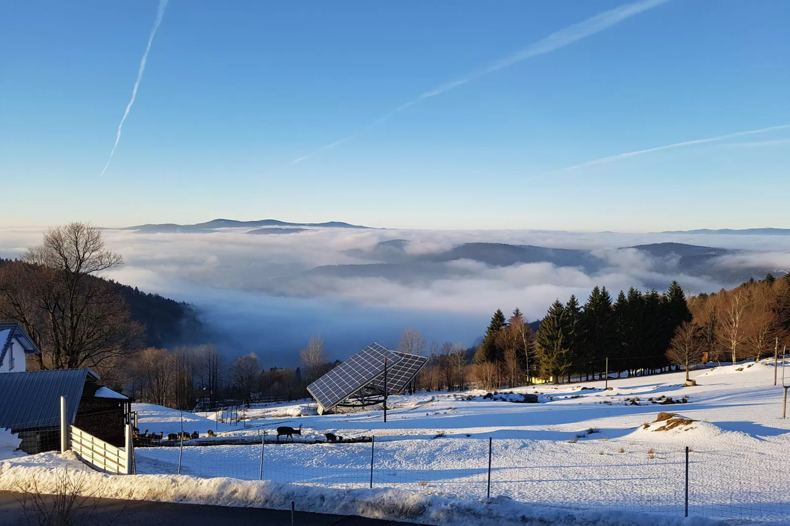 Talblick-Uitzicht winter