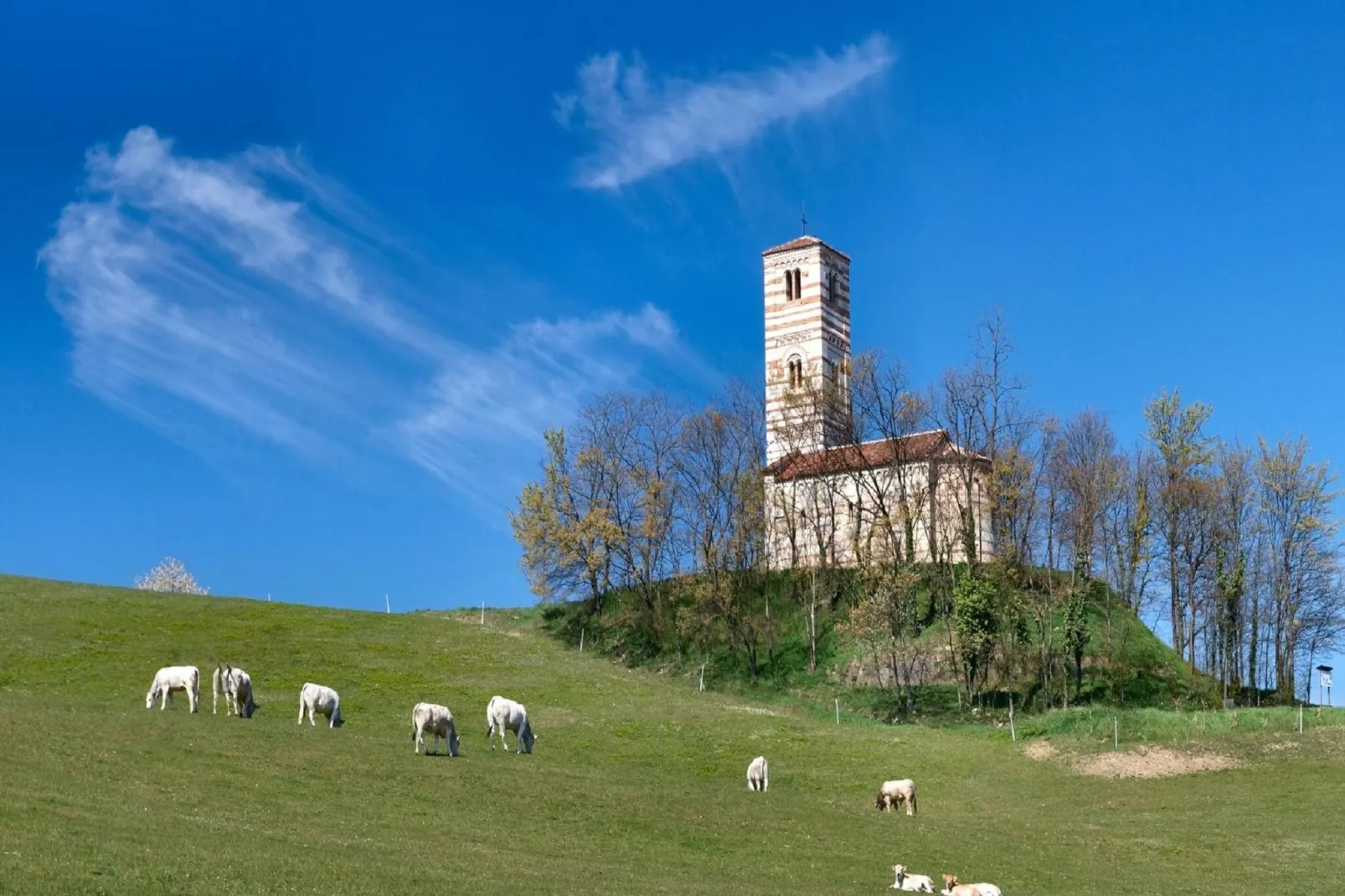 Castello di Robella-Gebieden zomer 1km