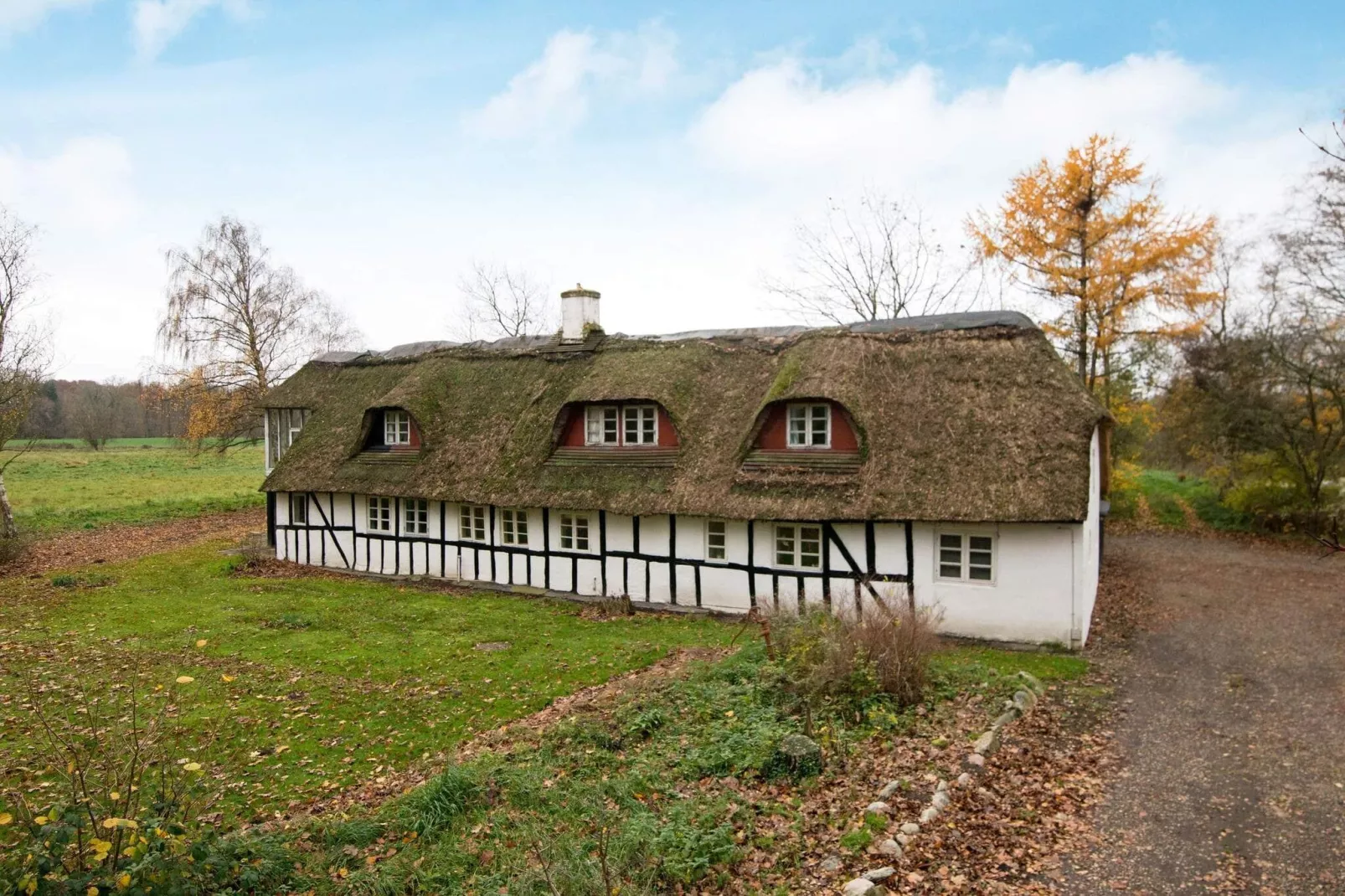 15 persoons vakantie huis in Hundslund-By Traum-Buitenlucht