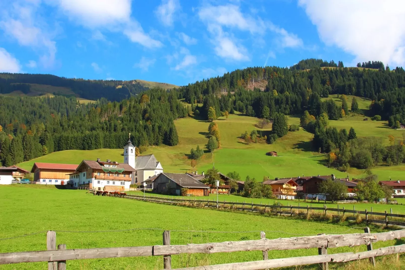Chalet Leo-Gebieden zomer 1km