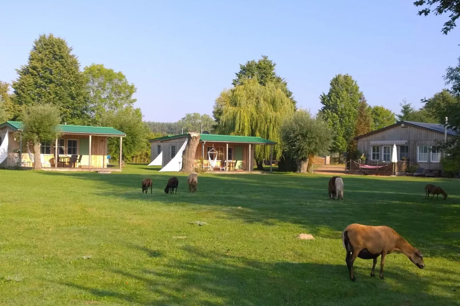 Haus 6- 3 Personen - Buitenkant zomer