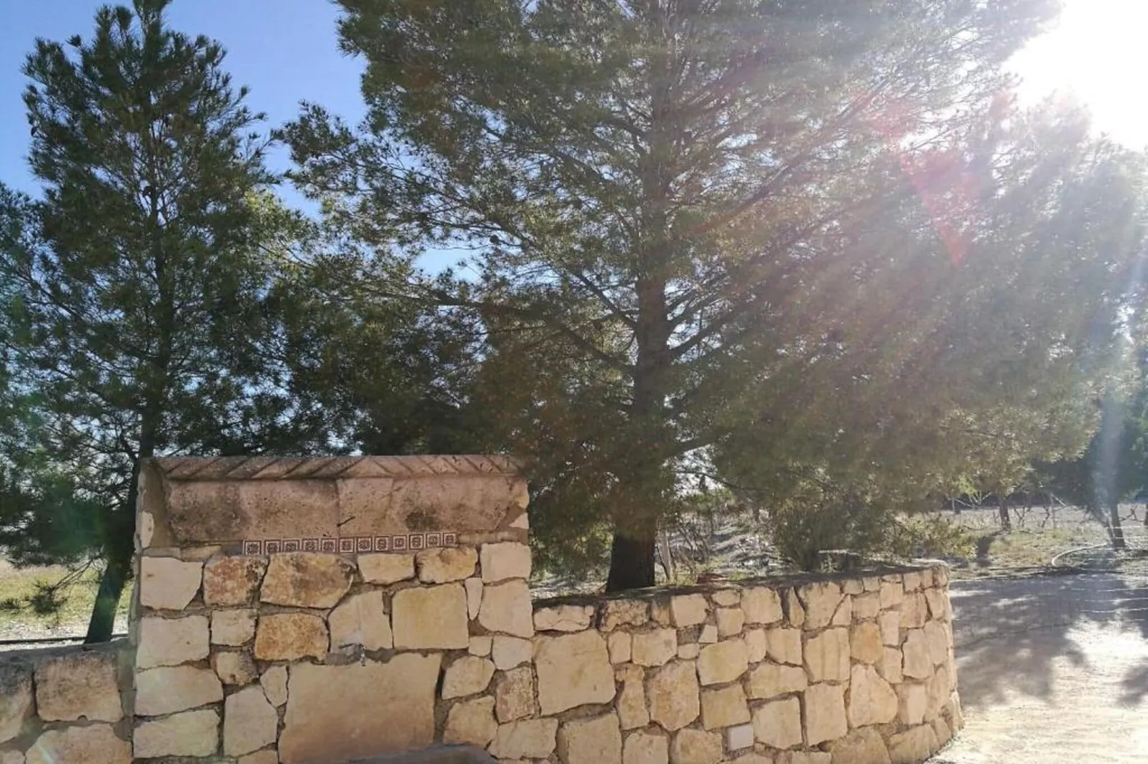 Casa de Lozano y Rueda-Tuinen zomer