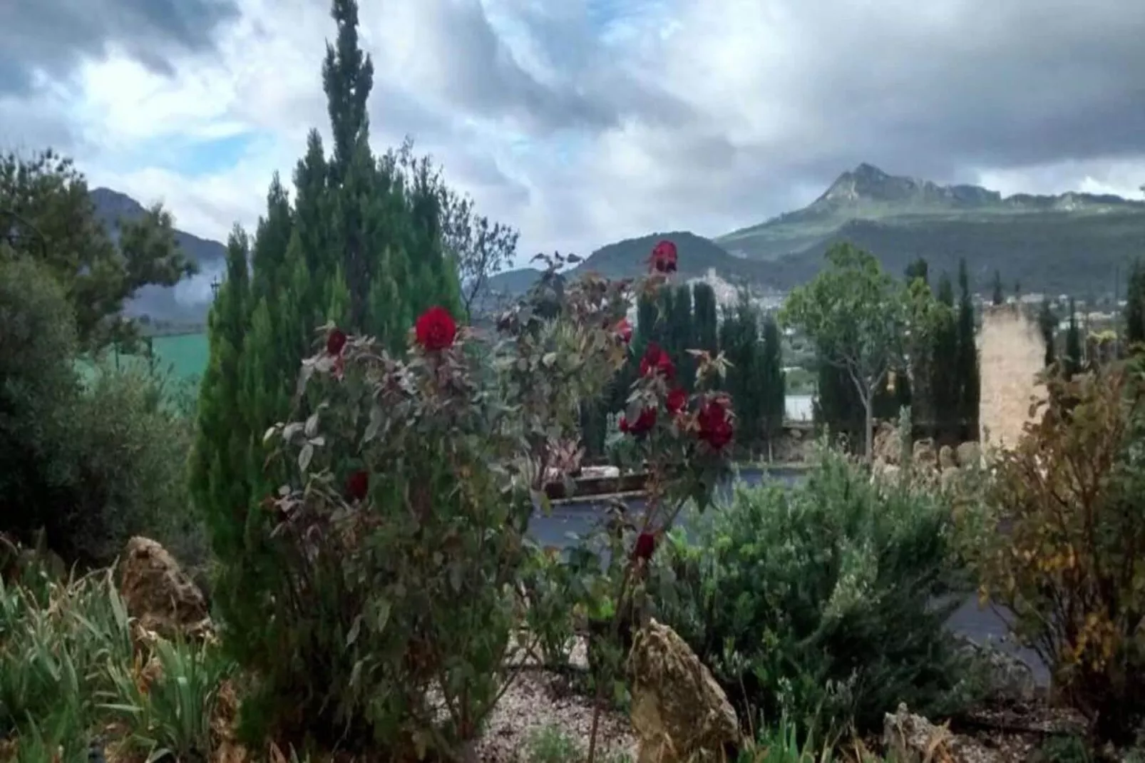 Casa de Lozano y Rueda-Tuinen zomer