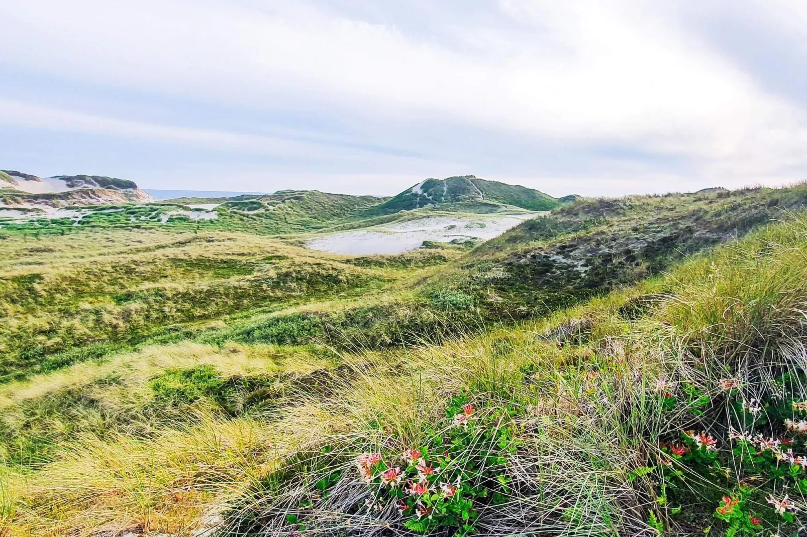 6 persoons vakantie huis in Ulfborg-By Traum-Buitenlucht