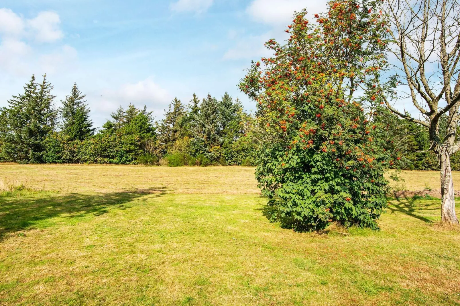 6 persoons vakantie huis in Ulfborg-By Traum-Uitzicht