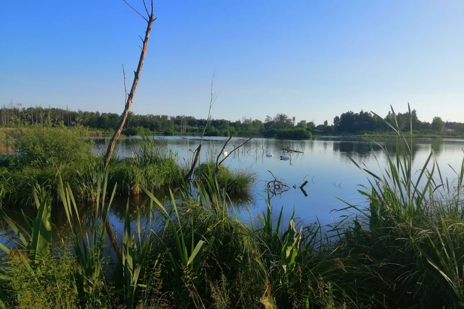 Chatillon 67-Gebieden zomer 5km