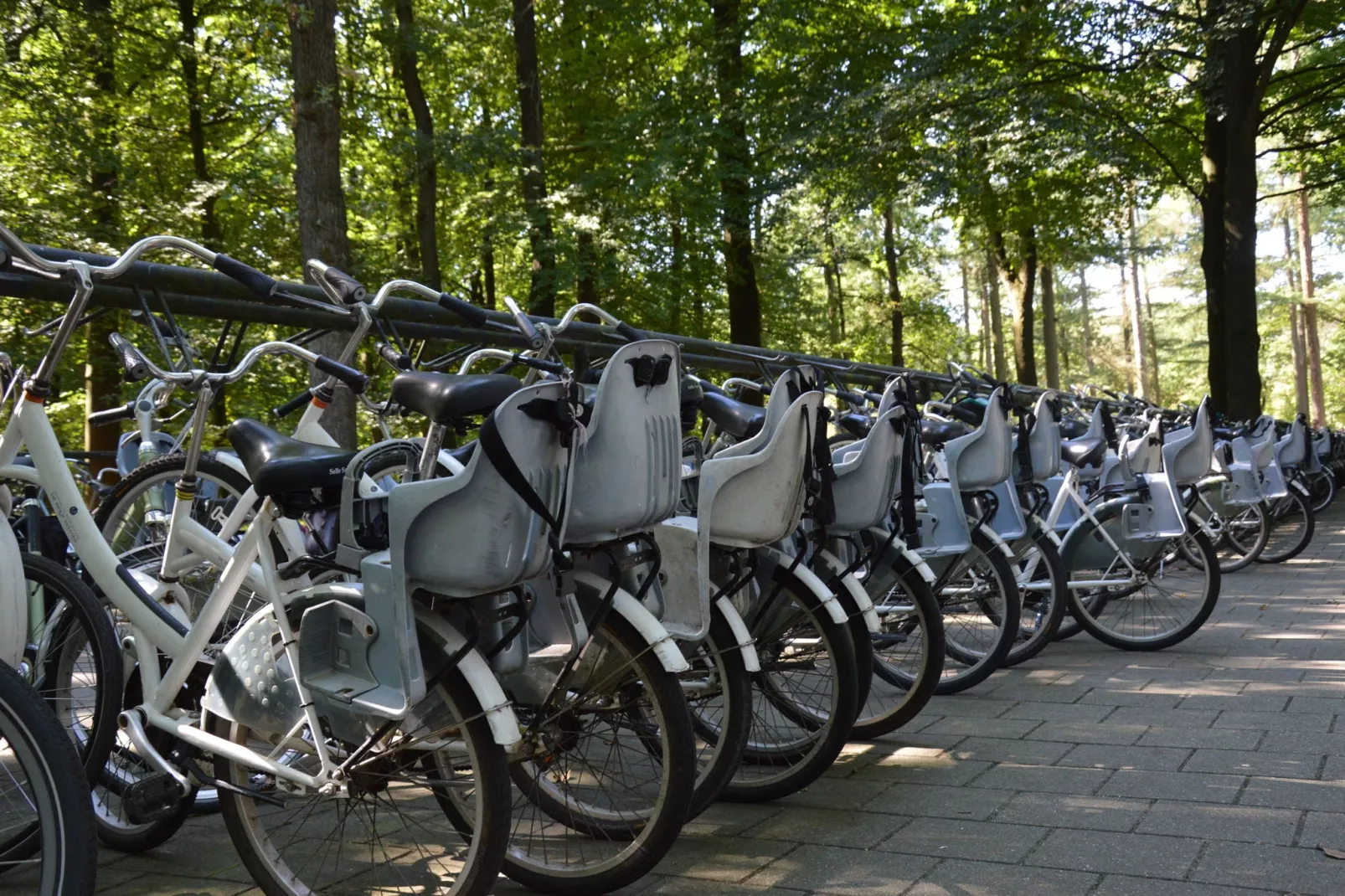 't Vliegend Hert-Gebieden zomer 20km