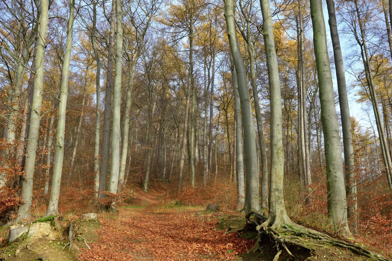 Weserbergland