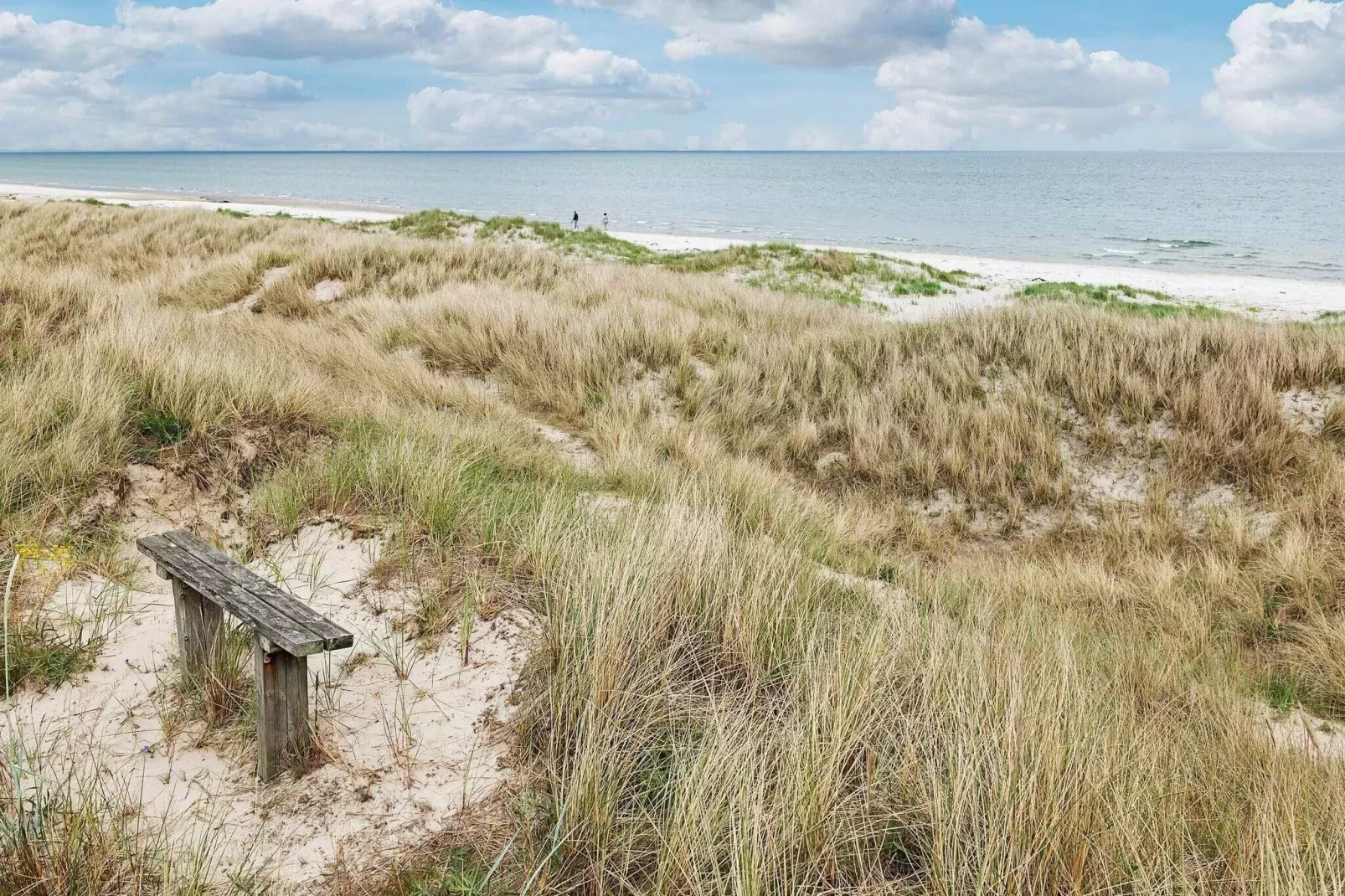 8 persoons vakantie huis in Ålbæk-By Traum-Niet-getagd