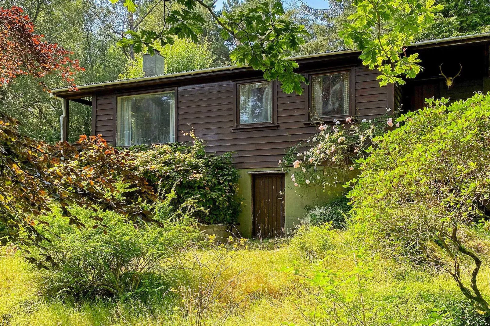 4 persoons vakantie huis in Reksteren-By Traum