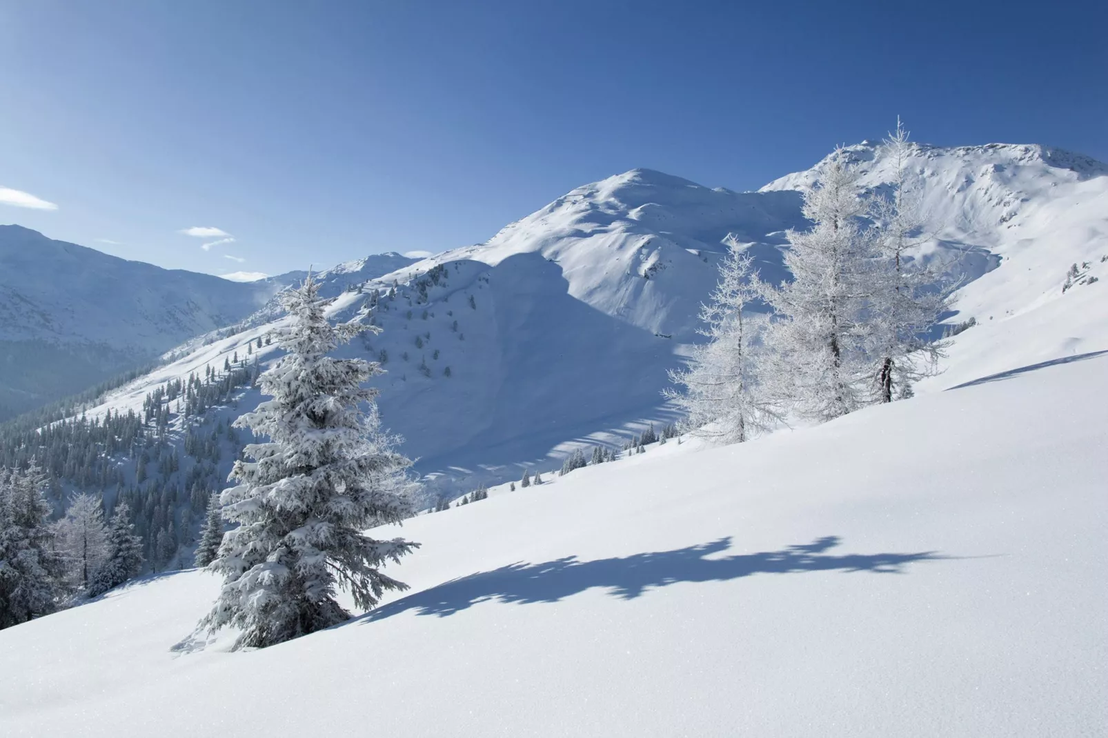 Chalet Schiestl - 10 Personen-Gebied winter 20km