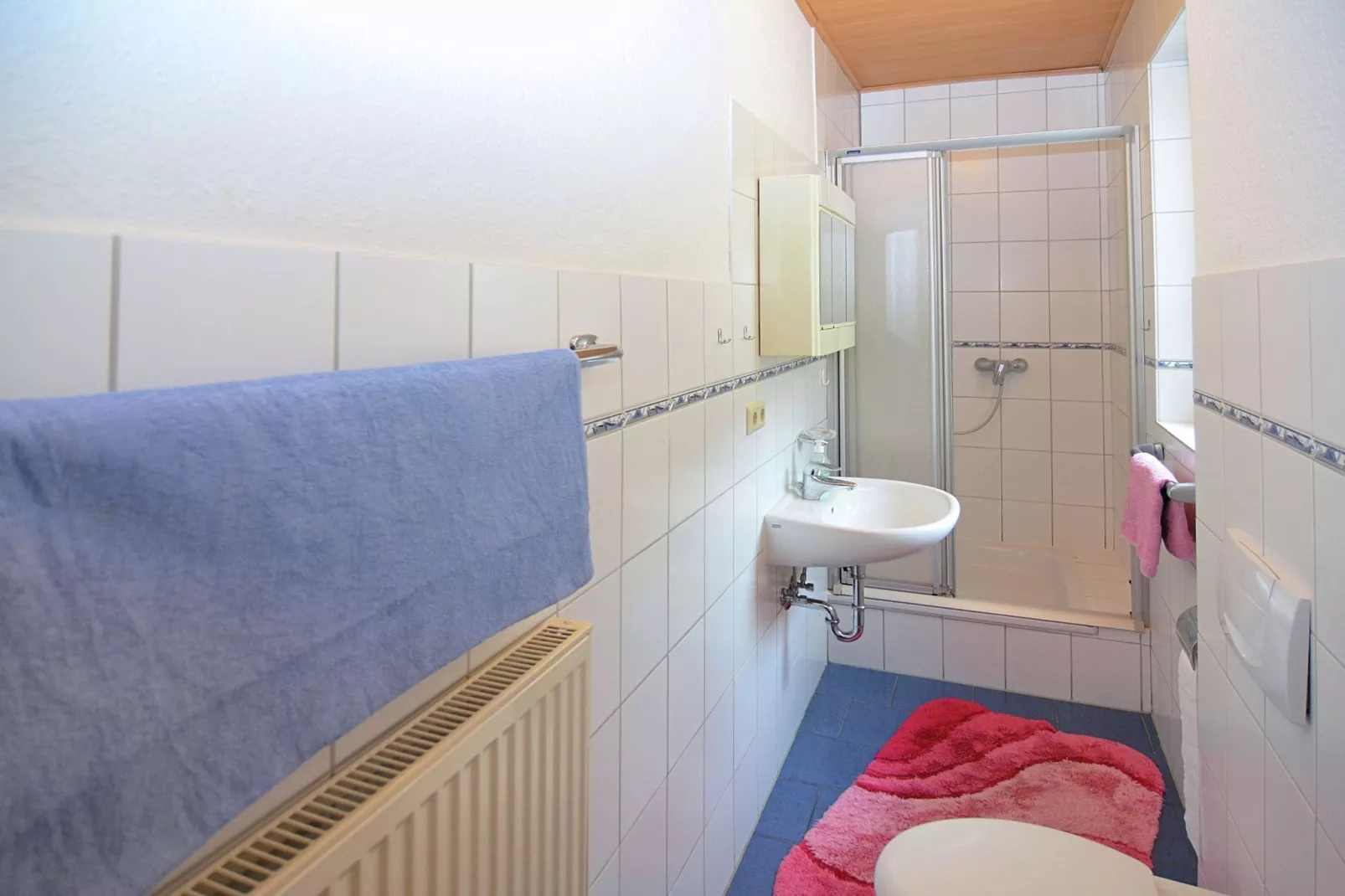 Am Ferienbauernhof - FW 1 und 5-Badkamer