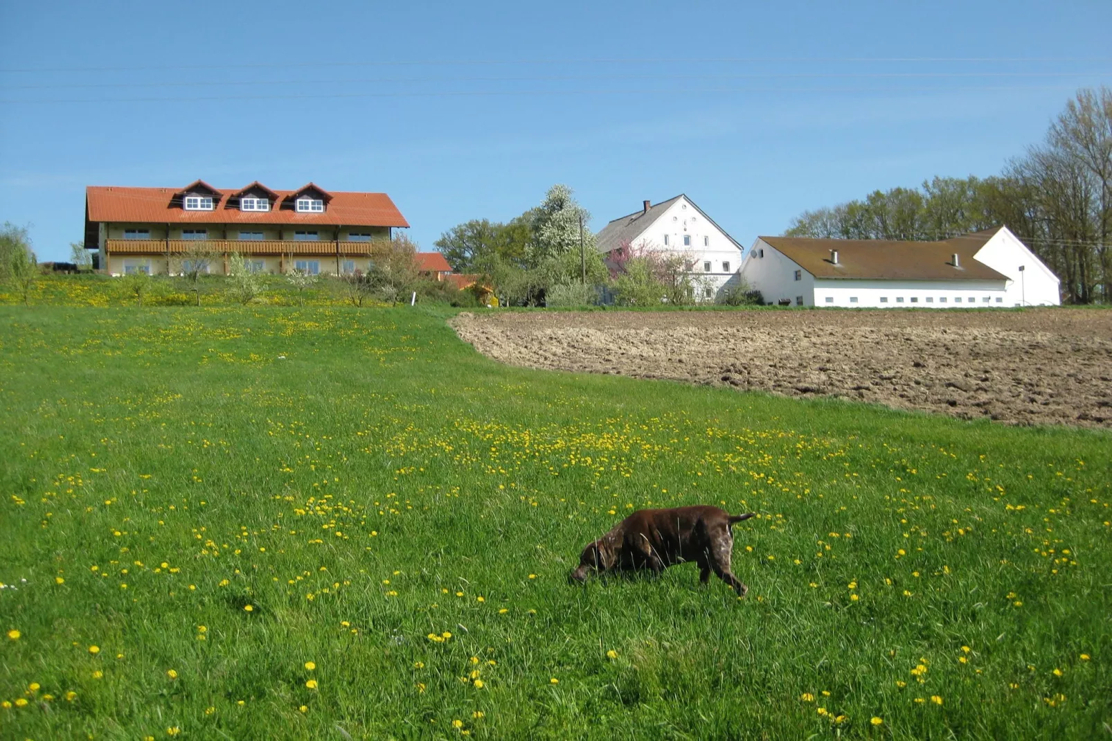 Am Ferienhof-Gebieden zomer 5km