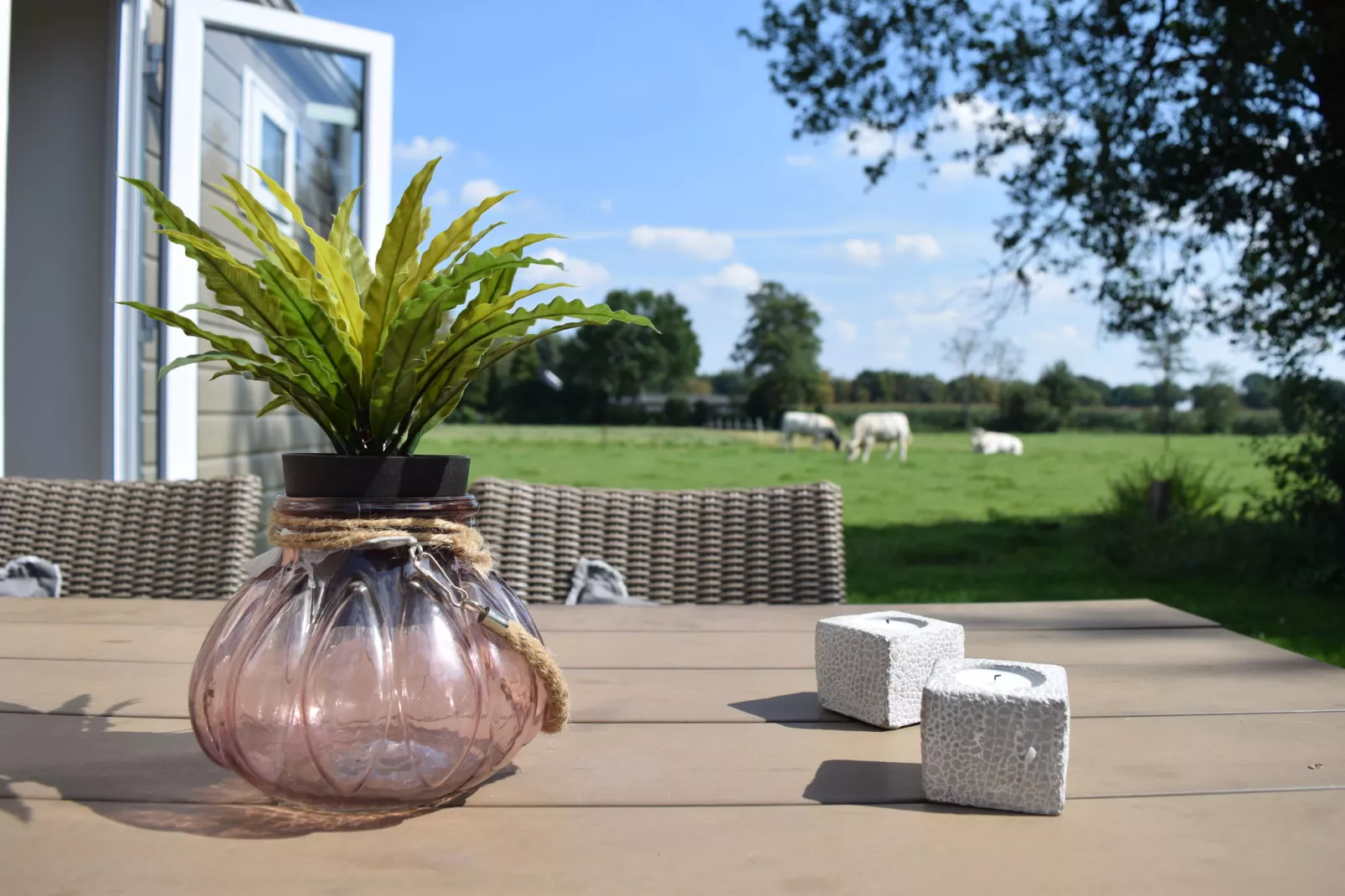 Recreatiepark de Boshoek 4-Terrasbalkon