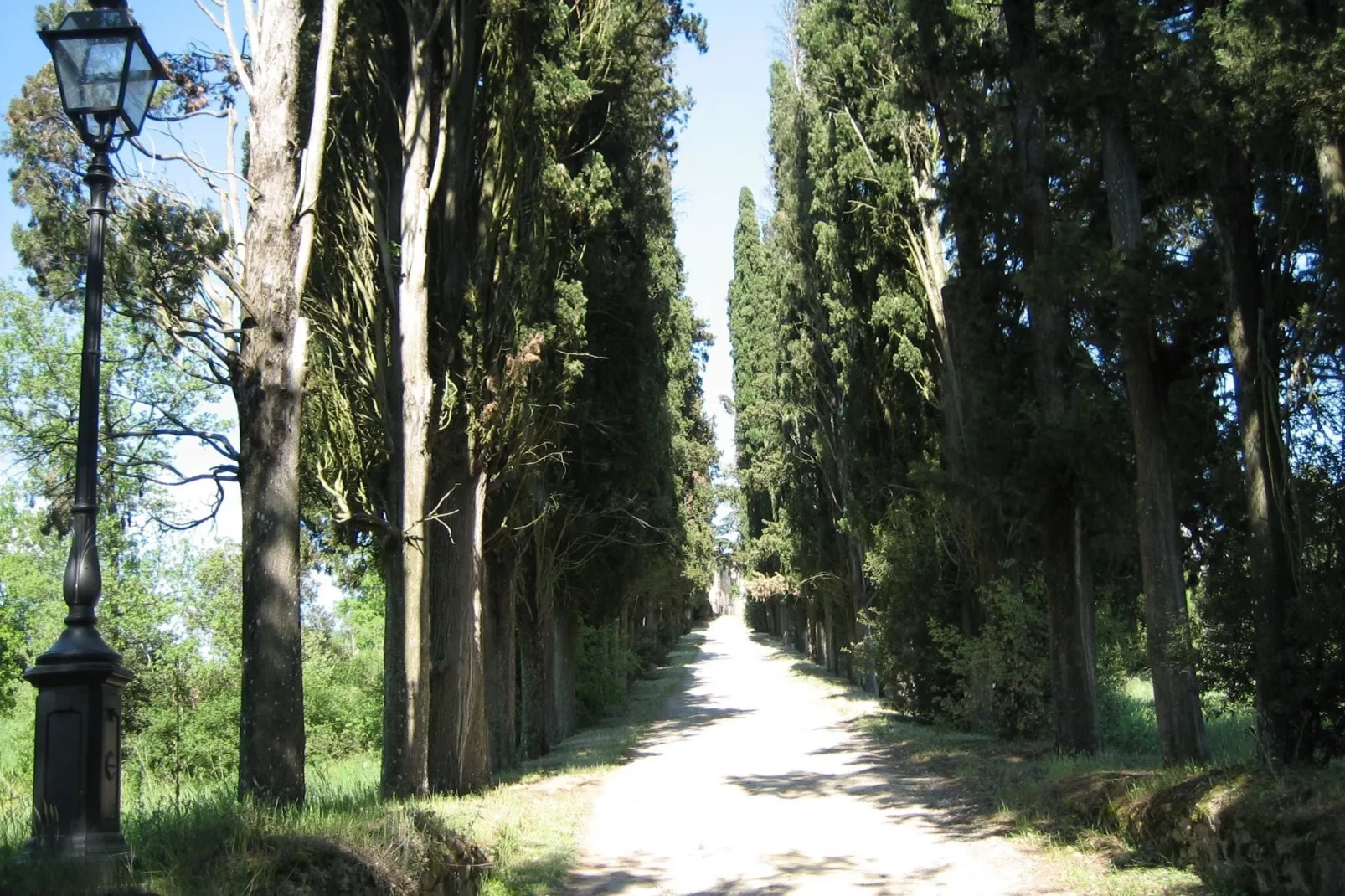 Il Castello del Cardinale-Gebieden zomer 1km