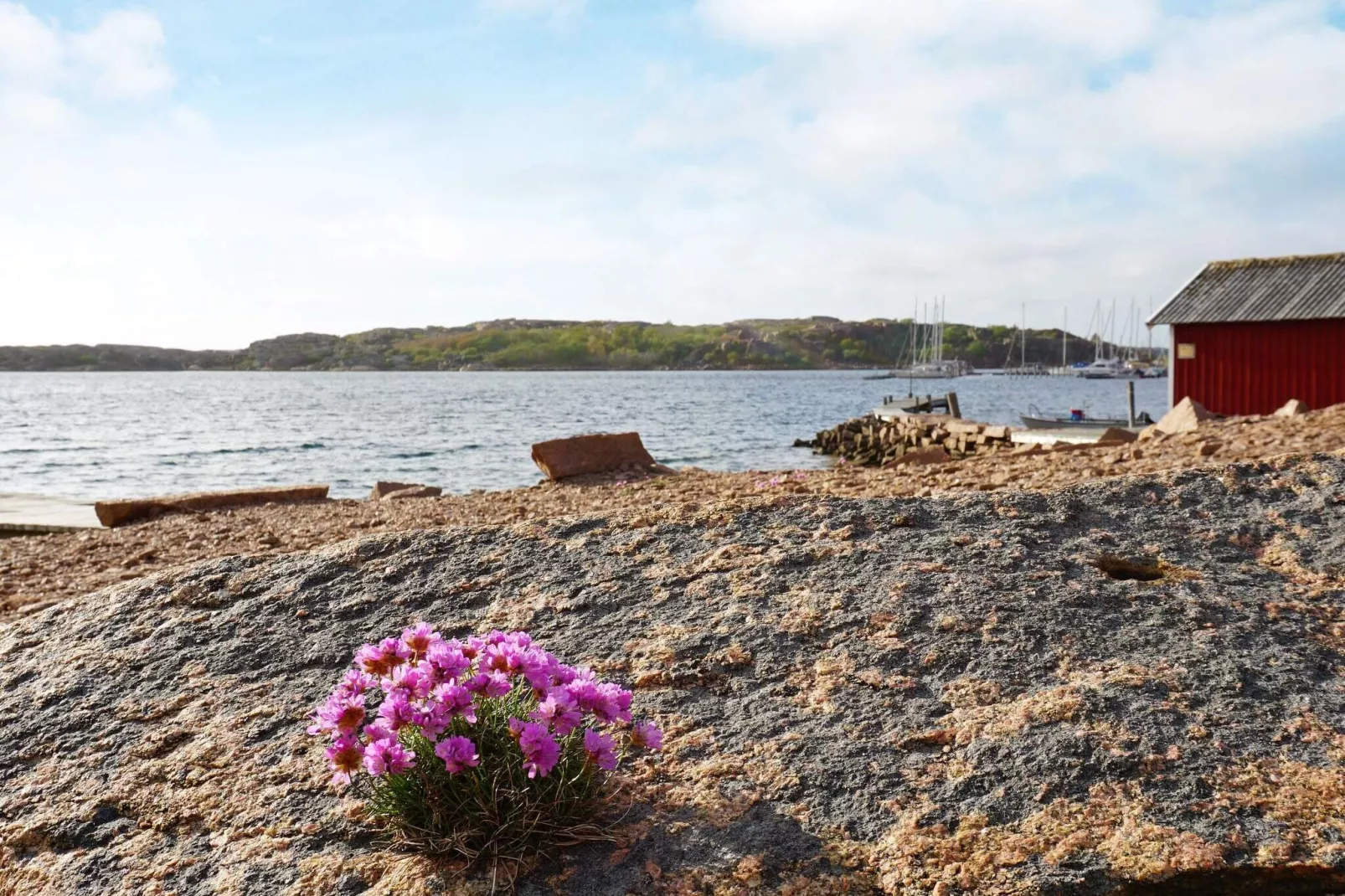 6 persoons vakantie huis in Bovallstrand-By Traum-Uitzicht