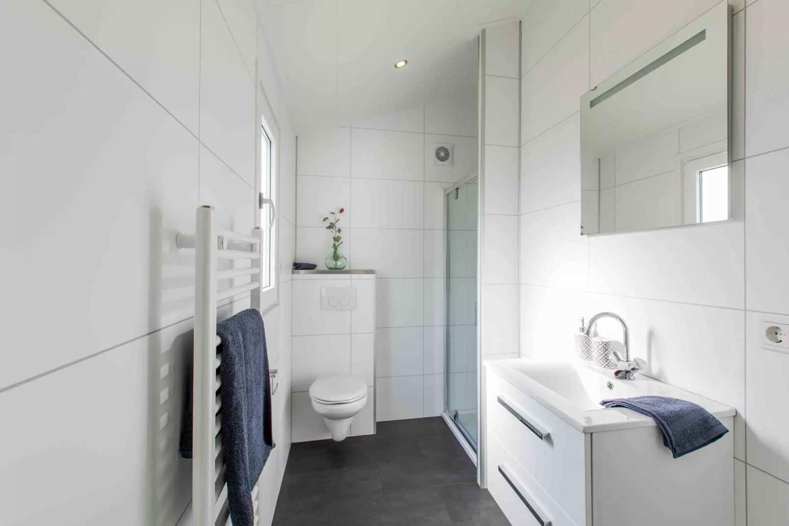 Landgoed De Scheleberg 15-Badkamer