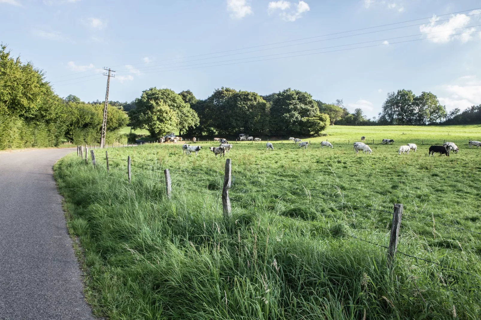 Amante - Gebieden zomer 20km