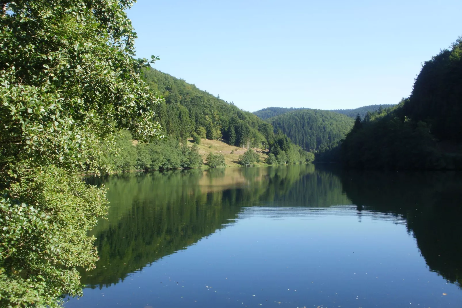Am Thüringer Rennsteig-Gebieden zomer 5km