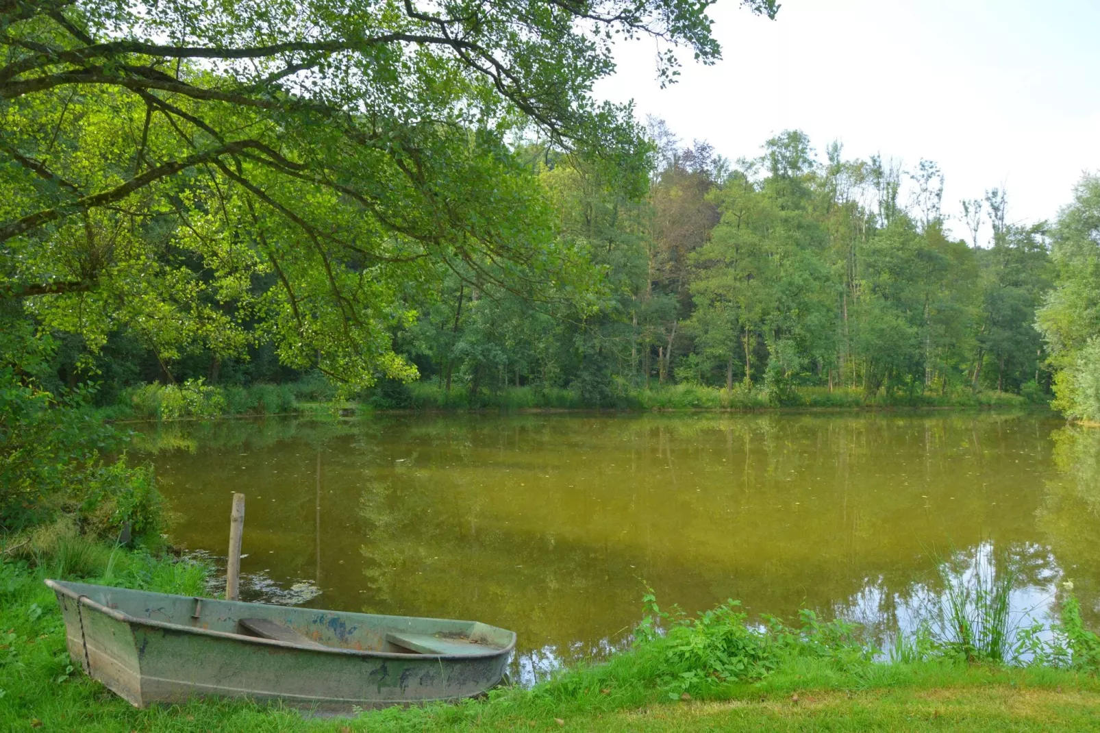 Chateau des Deux Etangs 24 pers-Tuinen zomer