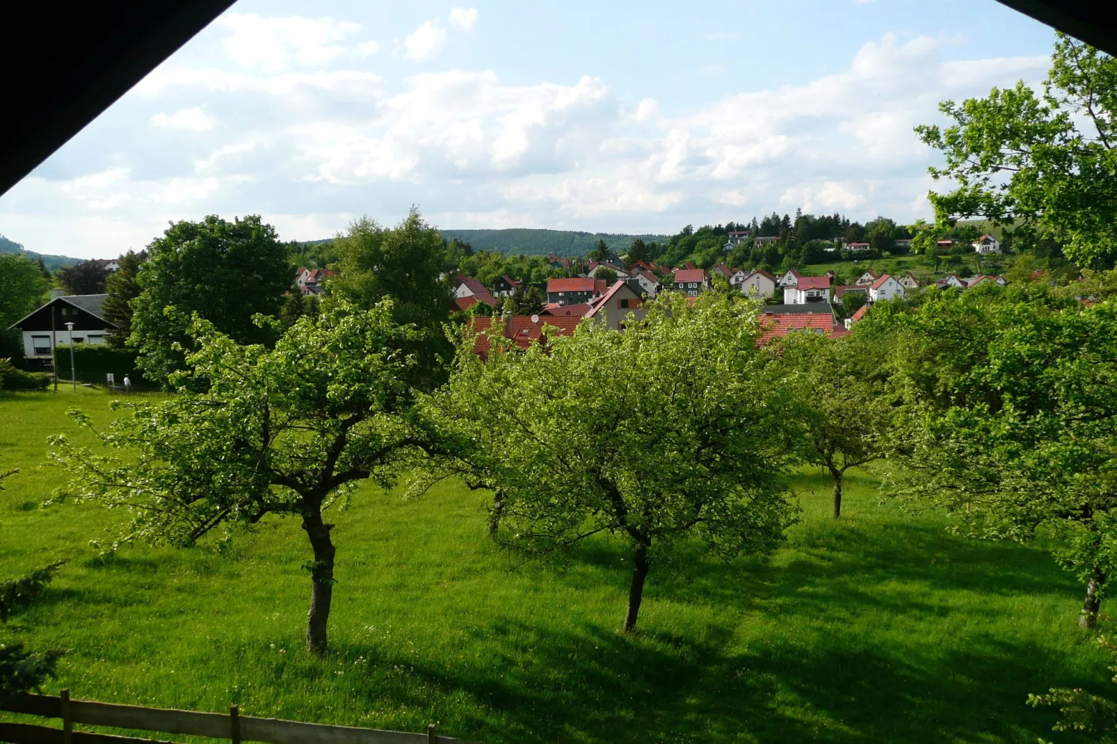 Am Wald-Uitzicht zomer