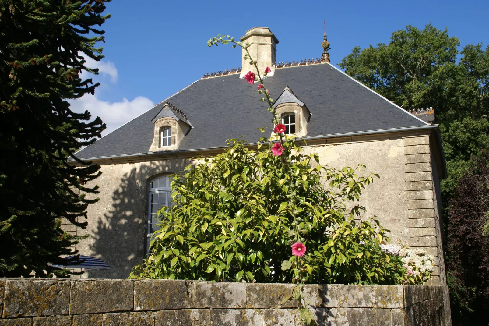 Maison de vacances Valognes-Gebieden zomer 1km