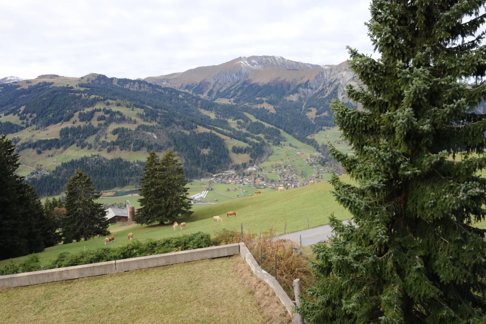 Appartement Salvisberg-Gebieden zomer 20km