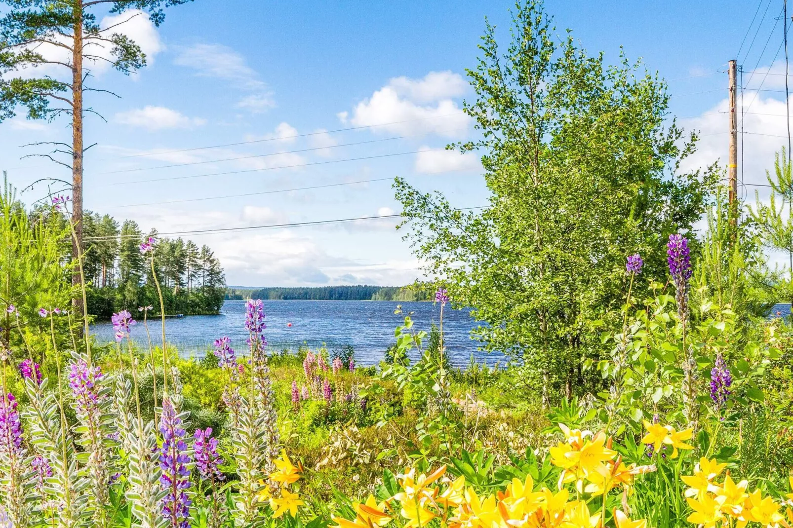 6 persoons vakantie huis in VäTö-Waterzicht