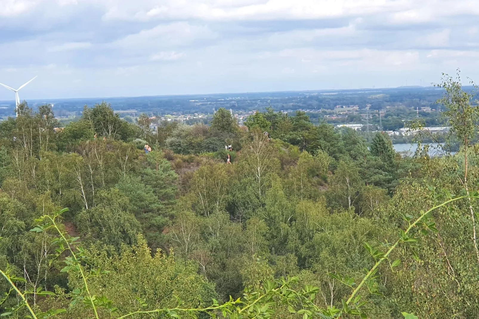 Het Hertenbos-Gebieden zomer 20km