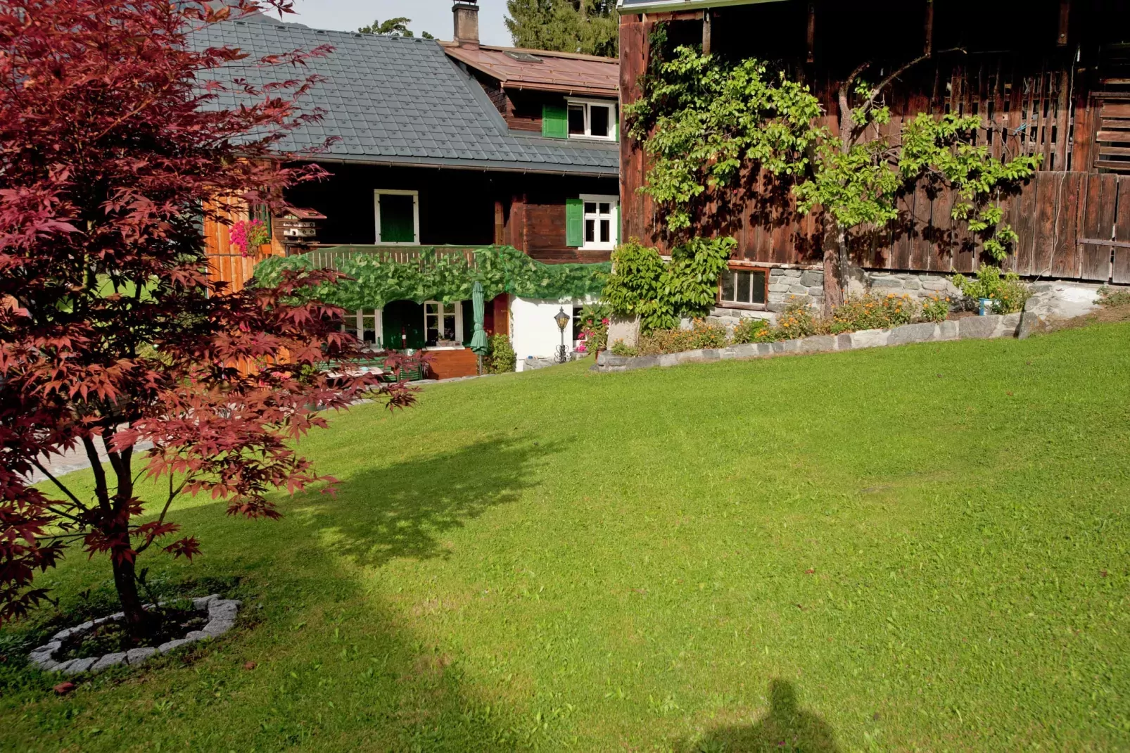 Bials-Tuinen zomer
