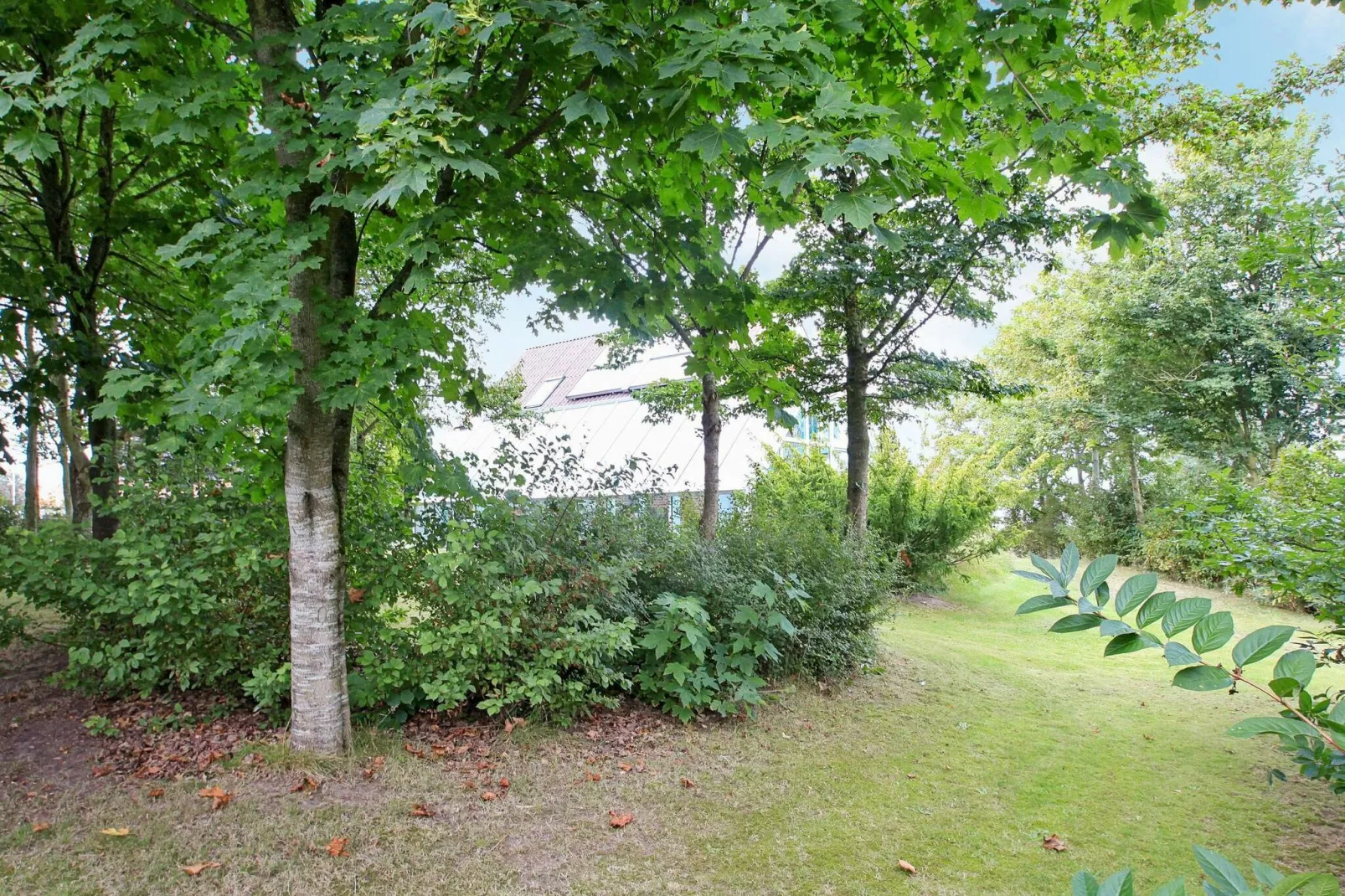 6 persoons vakantie huis in Farsø-Uitzicht